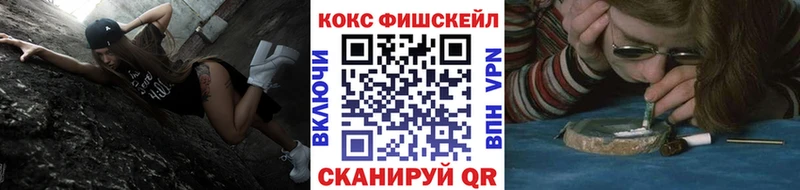 MEGA рабочий сайт  продажа наркотиков  Суздаль  COCAIN VHQ 