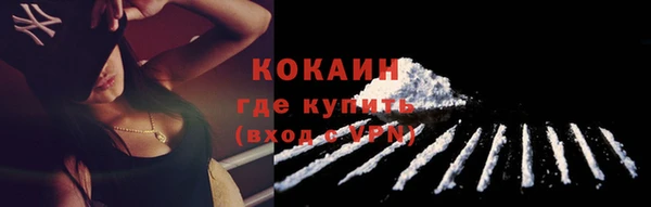 прущие грибы Протвино