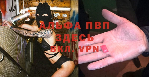 прущие грибы Протвино