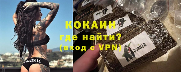 прущие грибы Протвино