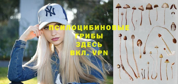спайс Абаза