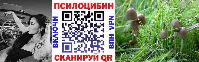 Галлюциногенные грибы ЛСД  Суздаль 